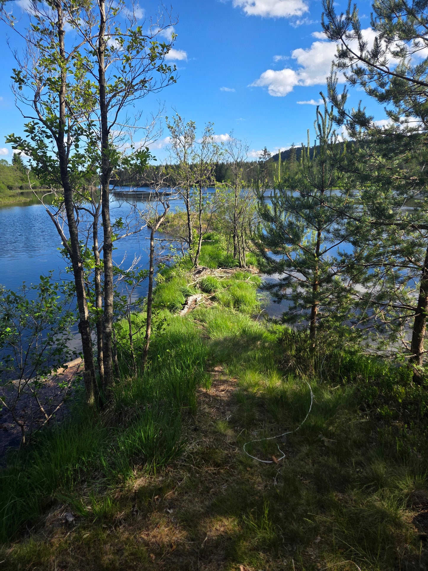 Bobilparkering m/strøm
